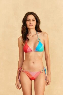 Farm Rio Blue Painted Birds Plaid Triangle Bikini Top